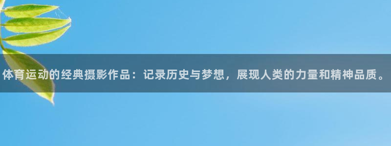 体育运动的经典摄影作品：记录历史与梦想，展现人类的力量和精神品质。