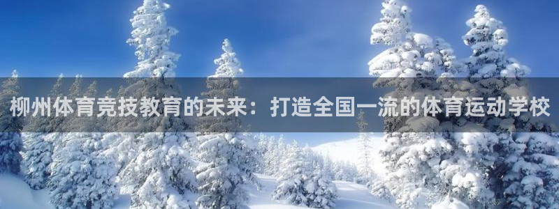 柳州体育竞技教育的未来：打造全国一流的体育运动学校