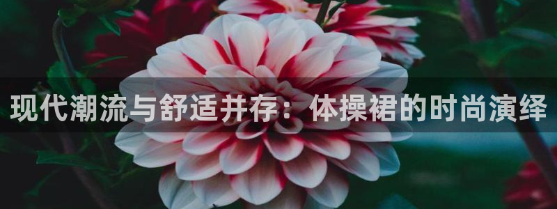 现代潮流与舒适并存：体操裙的时尚演绎