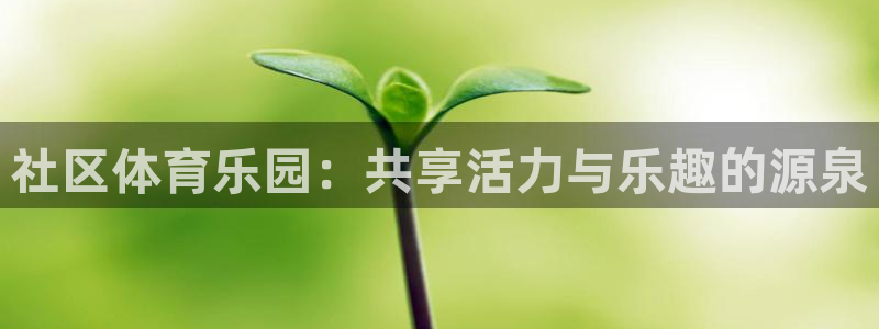 社区体育乐园：共享活力与乐趣的源泉