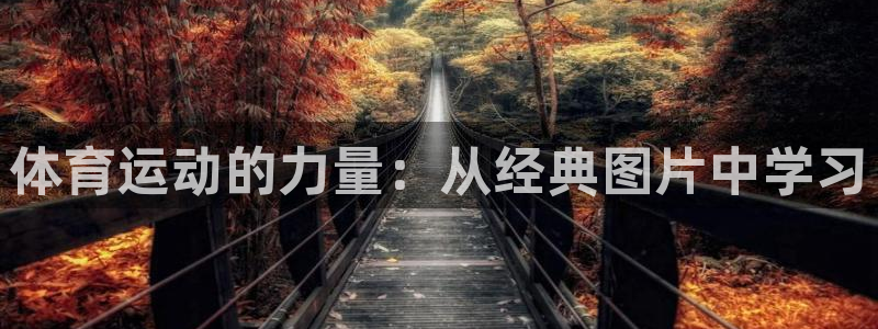 体育运动的力量：从经典图片中学习