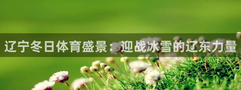 辽宁冬日体育盛景：迎战冰雪的辽东力量